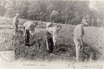 Carte postale ancienne En Beauce — Non Localisée (Loiret)