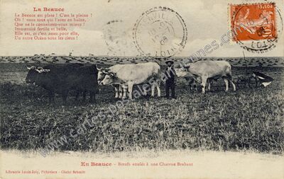 Carte postale ancienne En Beauce — Non Localisée (Loiret)