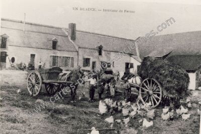 Carte postale ancienne En Beauce — Non Localisée (Loiret)