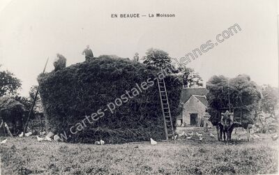 Carte postale ancienne En Beauce — Non Localisée (Loiret)