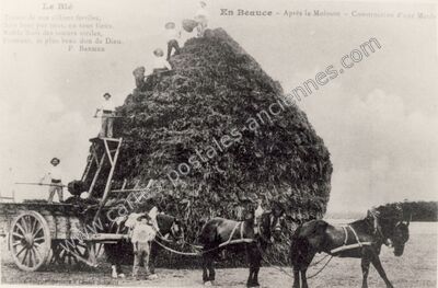 Carte postale ancienne En Beauce — Non Localisée (Loiret)