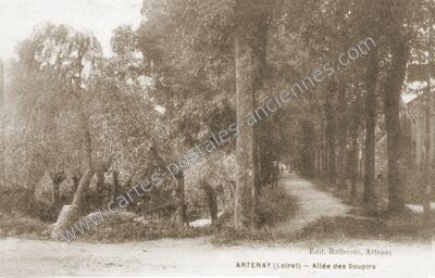 Carte postale ancienne Allée des Soupirs — Artenay (Loiret)