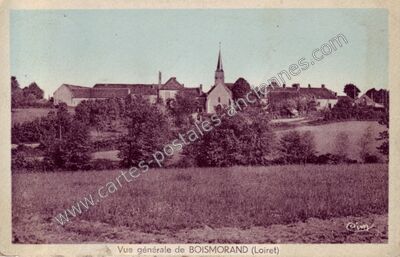 Carte postale ancienne Vue générale — Boismorand (Loiret)