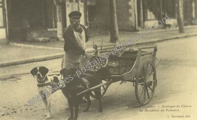 Carte postale ancienne Attelages de Chiens Le Marchand de Primeurs — Briare (Loiret)