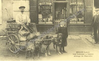 Carte postale ancienne Les Voitures à Chiens — Briare (Loiret)