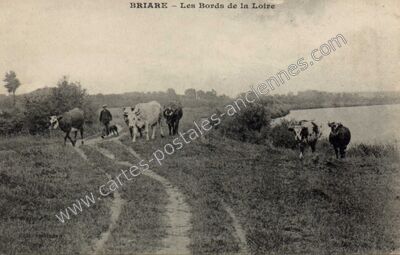 Carte postale ancienne Les Bords de la Loire — Briare (Loiret)