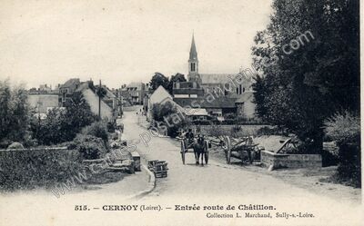 Carte postale ancienne Entrée route de Châtillon — Cernoy-en-Berry (Loiret)