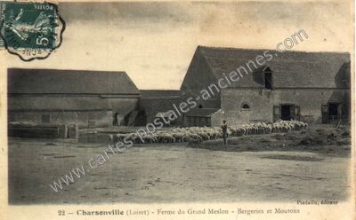Carte postale ancienne Ferme du Grand Meslon - Bergeries et Moutons — Charsonville (Loiret)