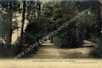 Carte postale ancienne Le Chastaing — Châteauneuf-sur-Loire (Loiret)