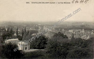 Carte postale ancienne La Vue Générale — Châtillon-Coligny (Loiret)