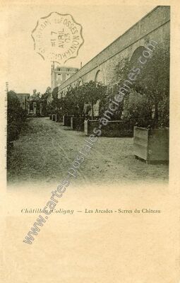 Carte postale ancienne Les Arcades - Serres du Château — Châtillon-Coligny (Loiret)