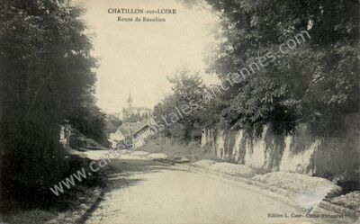 Carte postale ancienne Route de Beaulieu — Châtillon-sur-Loire (Loiret)