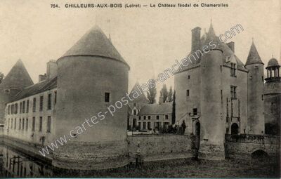 Carte postale ancienne Le Château féodal de Chamerolles — Chilleurs-aux-Bois (Loiret)