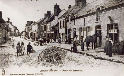 Carte postale ancienne Route de Pithiviers — Chilleurs-aux-Bois (Loiret)