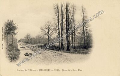 Carte postale ancienne Environs de Pithiviers. - CHILLEURS-au-BOIS. - Route de la Cour-Dieu — Chilleurs-aux-Bois (Loiret)