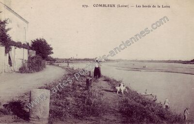 Carte postale ancienne Les bords de la Loire — Combleux (Loiret)