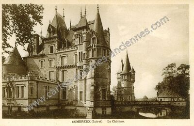Carte postale ancienne Le Château — Combreux (Loiret)