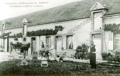 Carte postale ancienne Droguerie Vétérinaire A. PESTY — Corquilleroy (Loiret)