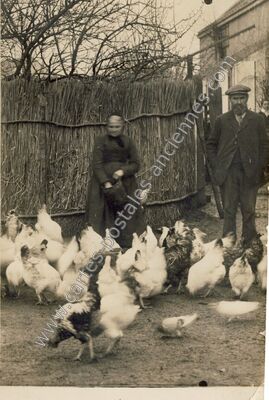 Carte postale ancienne Coulmiers Famille Salmon — Coulmiers (Loiret)