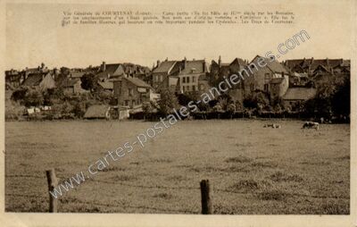 Carte postale ancienne Vue Générale de Courtenay — Courtenay (Loiret)