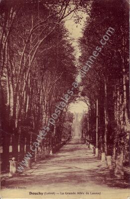 Carte postale ancienne La Grande Allée de Launay — Douchy (Loiret)