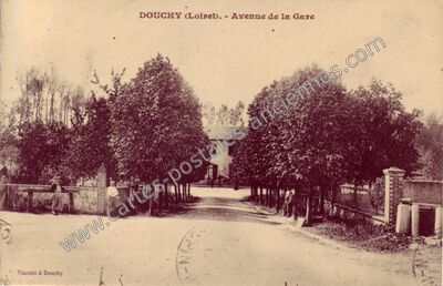 Carte postale ancienne Avenue de la Gare — Douchy (Loiret)