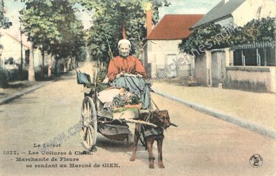 Carte postale ancienne Les Voitures à Chien. - Marchande de Fleurs se rendant au Marché — Gien (Loiret)