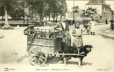 Carte postale ancienne Attelage de Chien — Gien (Loiret)