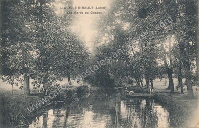 Carte postale ancienne Les Bords du Cosson — Ligny-le-Ribault (Loiret)