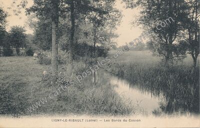 Carte postale ancienne Les Bords du Cosson — Ligny-le-Ribault (Loiret)