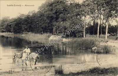 Carte postale ancienne Abreuvoir — Lorris (Loiret)