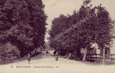Carte postale ancienne Entrée de la Forêt — Montargis (Loiret)