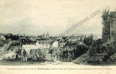 Carte postale ancienne Vue panoramique prise de l'Esplanade, près des ruines de l'ancien Château — Montargis (Loiret)
