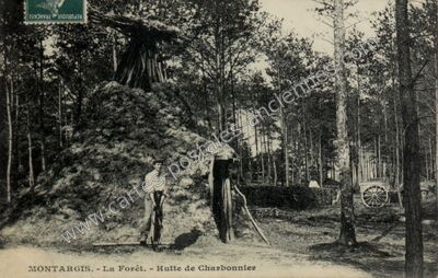 Carte postale ancienne La Forêt. - Hutte de Charbonnier — Montargis (Loiret)