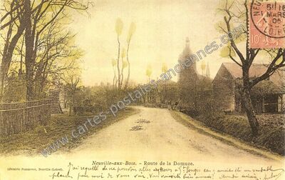Carte postale ancienne Route de la Domuze — Neuville-aux-Bois (Loiret)