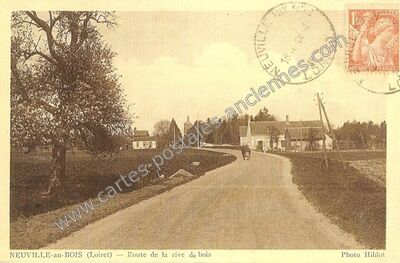 Carte postale ancienne Route de la rive du bois — Neuville-aux-Bois (Loiret)