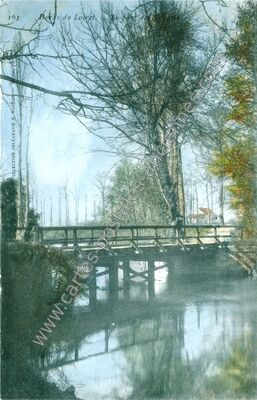 Carte postale ancienne Bois du Loiret. Le pont de l'Épine — Olivet (Loiret)