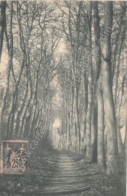 Carte postale ancienne Olivet — Olivet (Loiret)