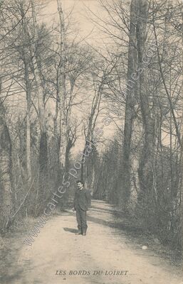 Carte postale ancienne Les bords du Loiret — Olivet (Loiret)
