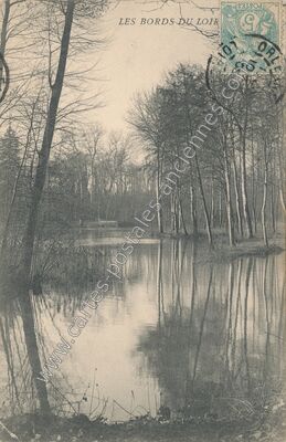 Carte postale ancienne Les bords du Loir — Olivet (Loiret)