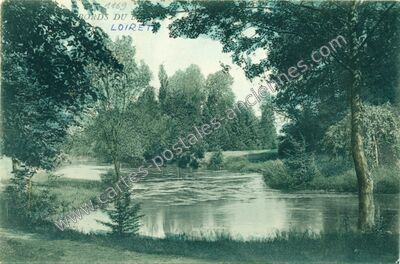 Carte postale ancienne Bords du Loiret — Olivet (Loiret)