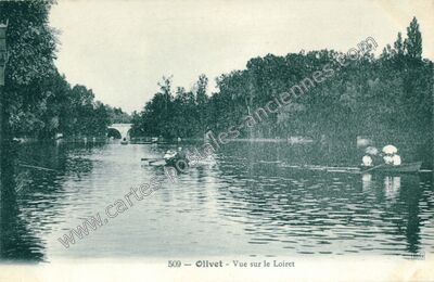 Carte postale ancienne Vue sur le Loiret — Olivet (Loiret)