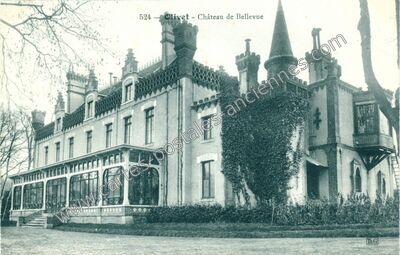 Carte postale ancienne Château de Bellevue — Olivet (Loiret)