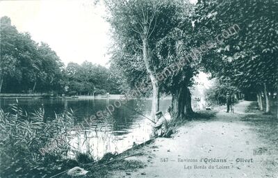 Carte postale ancienne Les Bords du Loiret — Olivet (Loiret)