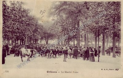 Carte postale ancienne Orleans Ma — Orléans (Loiret)