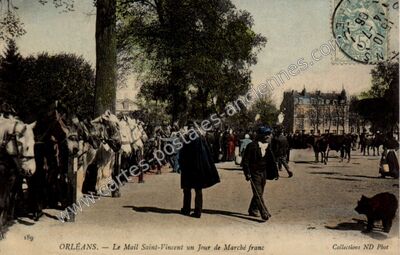 Carte postale ancienne Orleans Ma — Orléans (Loiret)