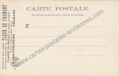 Carte postale ancienne Fleur de Froment — Orléans (Loiret)