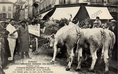 Carte postale ancienne Grande Boucherie Moderne des Halles — Orléans (Loiret)