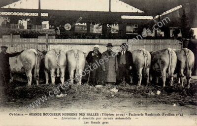 Carte postale ancienne GRANDE BOUCHERIE MODERNE DES HALLES - Factorerie Municipale (Pavillon n° 4) — Orléans (Loiret)