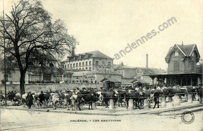 Carte postale ancienne Les Abattoirs — Orléans (Loiret)